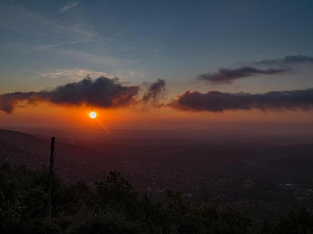 Domaine Du Bois D'Amont Lägenhet Cabris Exteriör bild