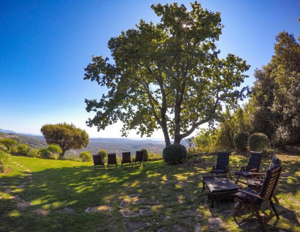 Domaine Du Bois D'Amont Lägenhet Cabris Exteriör bild